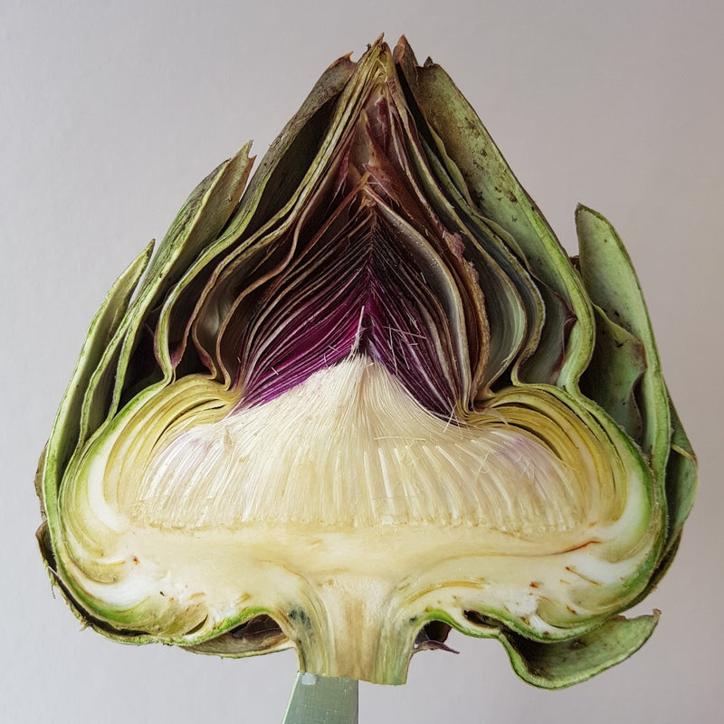 Organic Artichoke Extract