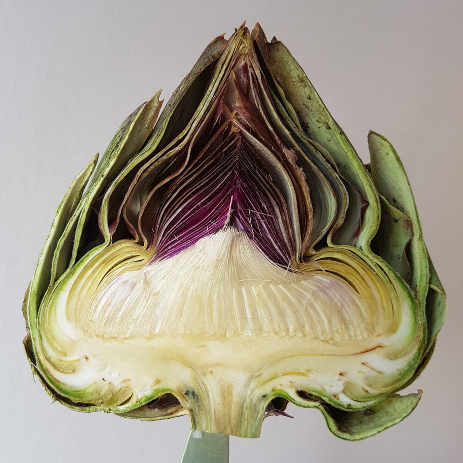 Organic Artichoke Extract